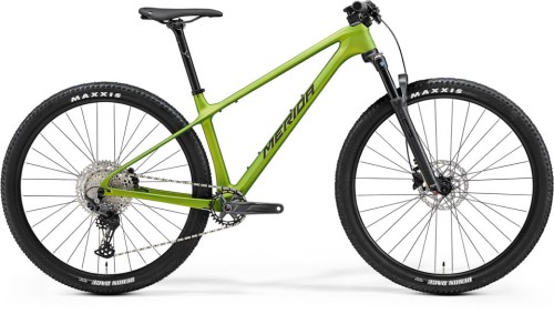 Rower MTB Merida BIG.NINE 3000 XXL(20) MATT FALL GREEN(BLK/SLV-GRN) 
