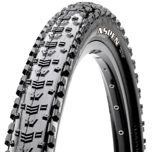 OPONA ASPEN WT 29X2,40 120TPI EXO TR ZWIJANA