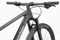 Rower MTB XC Race Cannondale SCALPEL HT CARBON 2 (SBK)