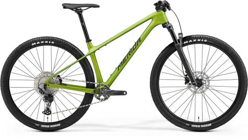 Rower MTB Merida BIG.NINE 3000 MATT FALL GREEN 