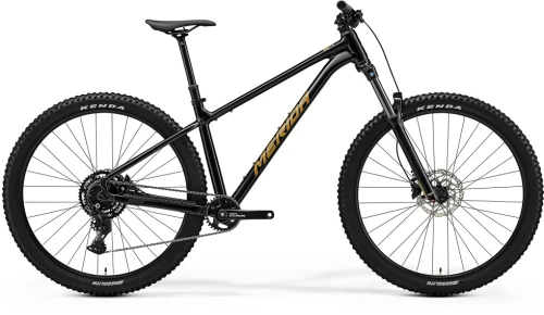 Rower Trailowy MERIDA BIG.TRAIL 300 BLACK(BROWN)