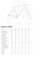 Rower Gravel CANNONDALE TOPSTONE CAAD 3 CUES 1x FB (TGR)